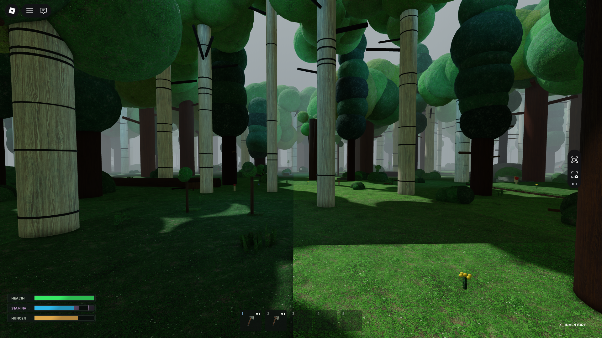 Forestale Bulbous Trees and Light Shafts